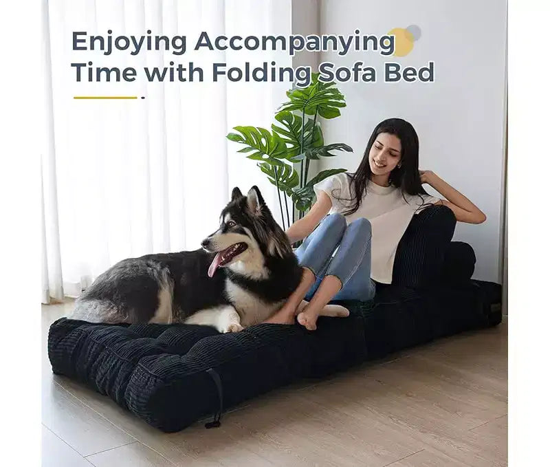 Folding Sofa Bed Convertible Chair Bed with Pillows & Backrest, Portable Floor Mattress Single Sleeper for Living Room Bedroom Guest